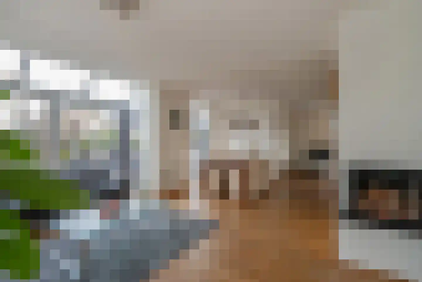 Agaat 100 Zoetermeer thumbnail 17