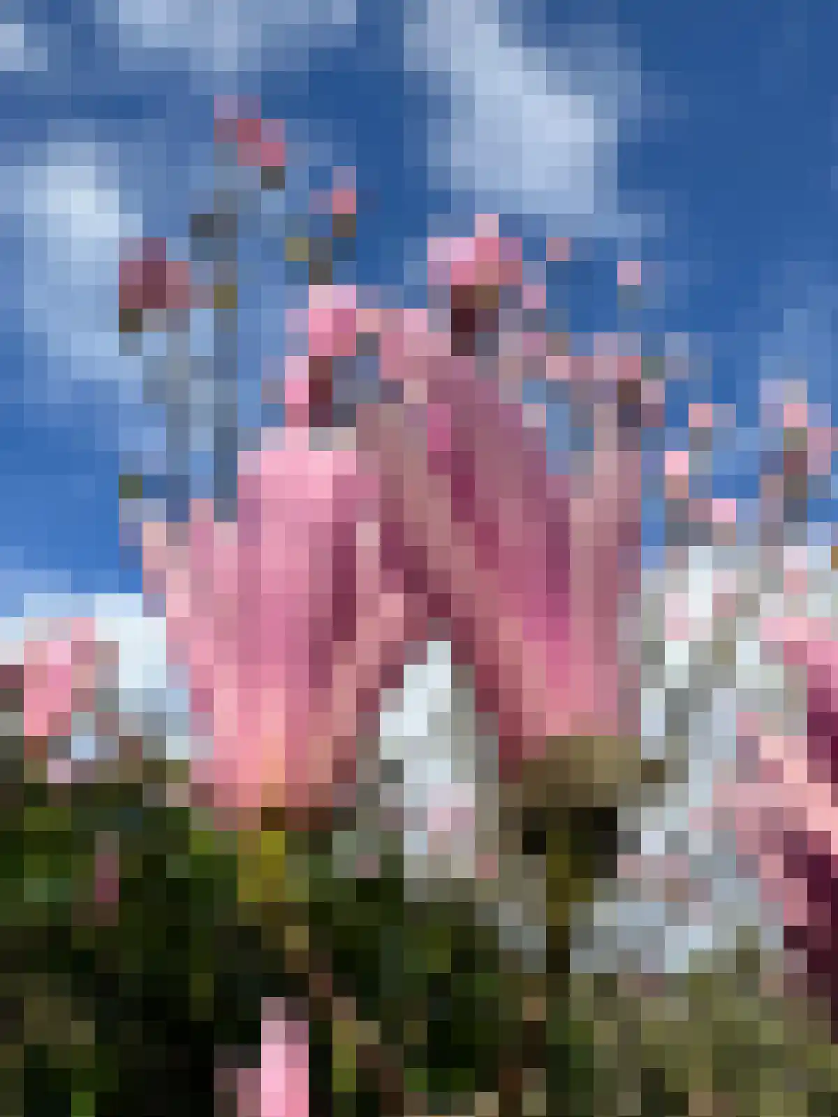Agaat 100 Zoetermeer thumbnail 29
