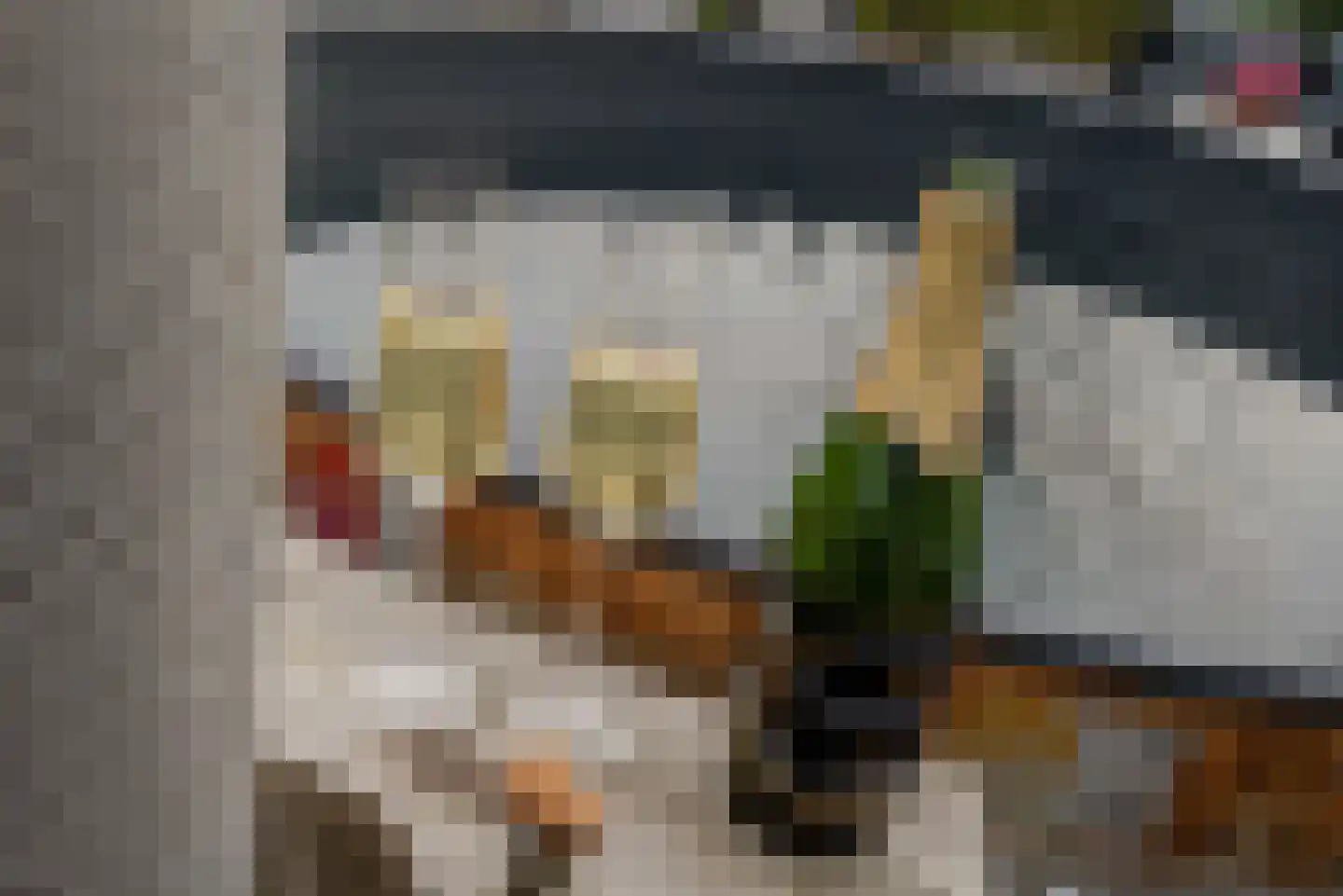 Agaat 100 Zoetermeer thumbnail 30