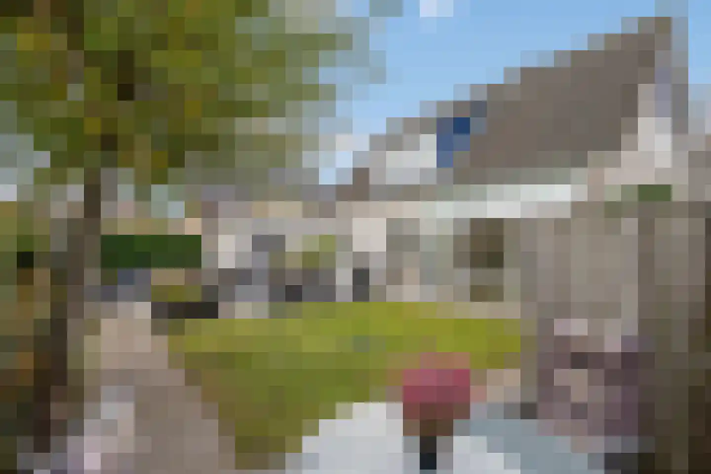 Agaat 100 Zoetermeer thumbnail 32