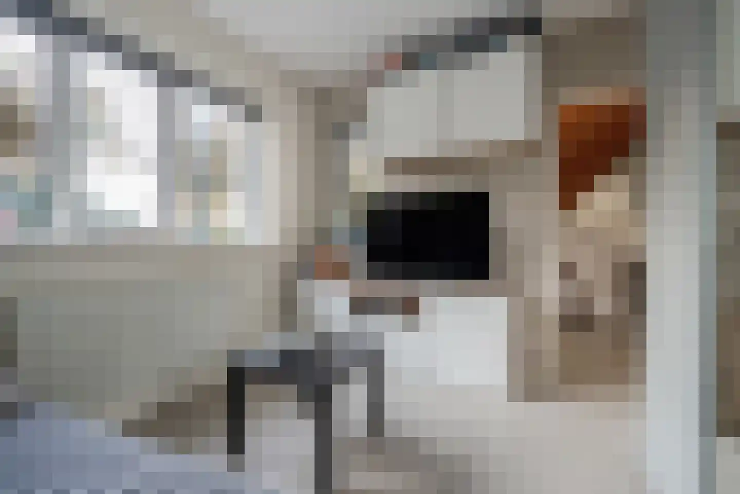 Agaat 100 Zoetermeer thumbnail 36