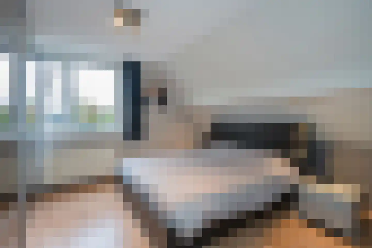 Agaat 100 Zoetermeer thumbnail 39