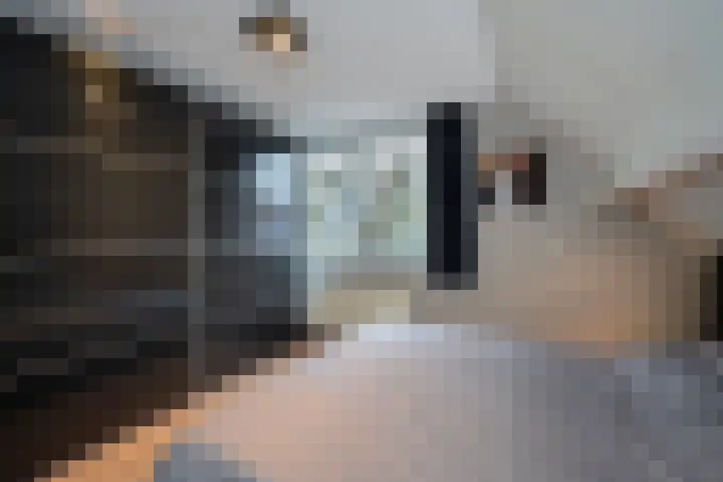 Agaat 100 Zoetermeer thumbnail 40