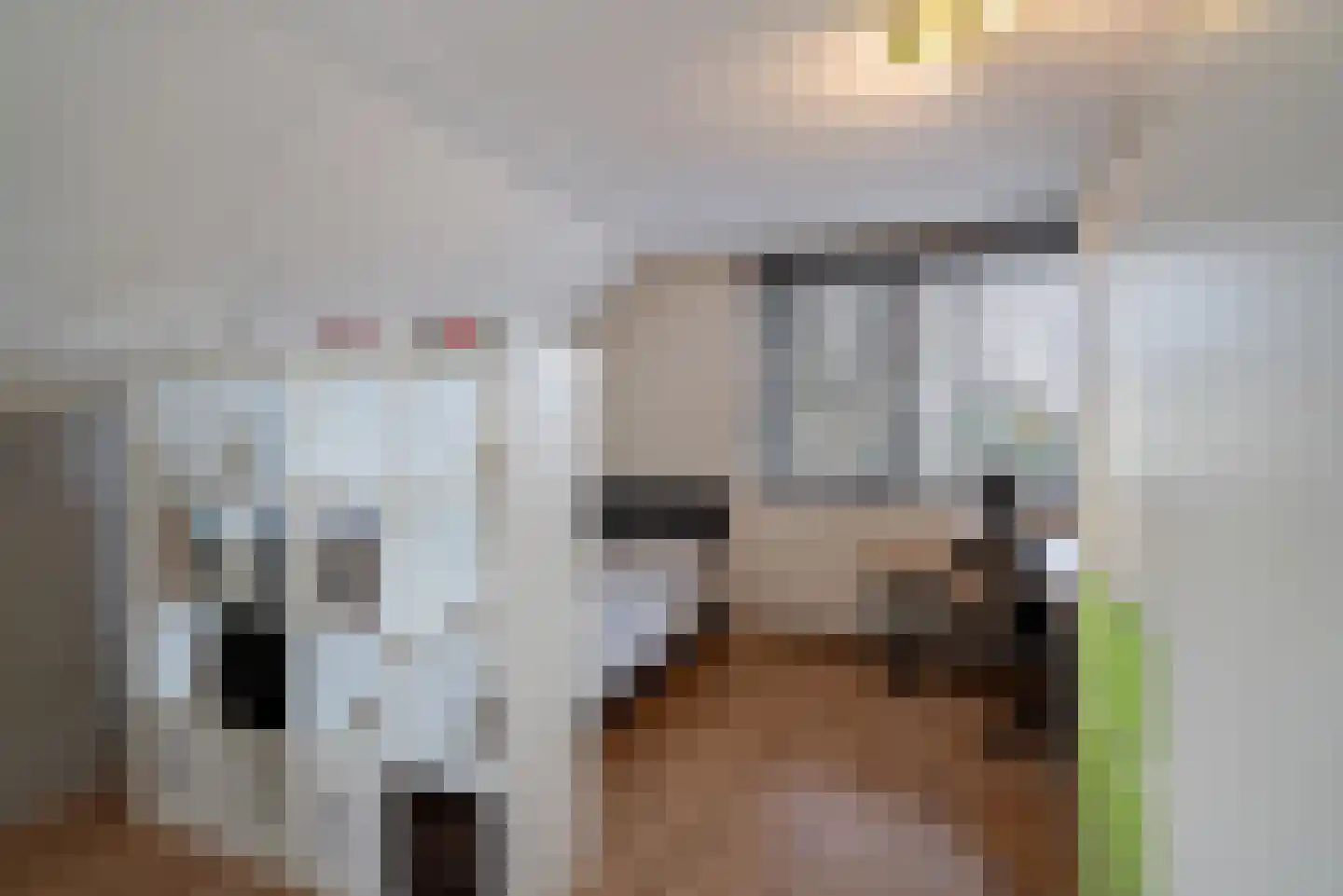 Agaat 100 Zoetermeer thumbnail 45