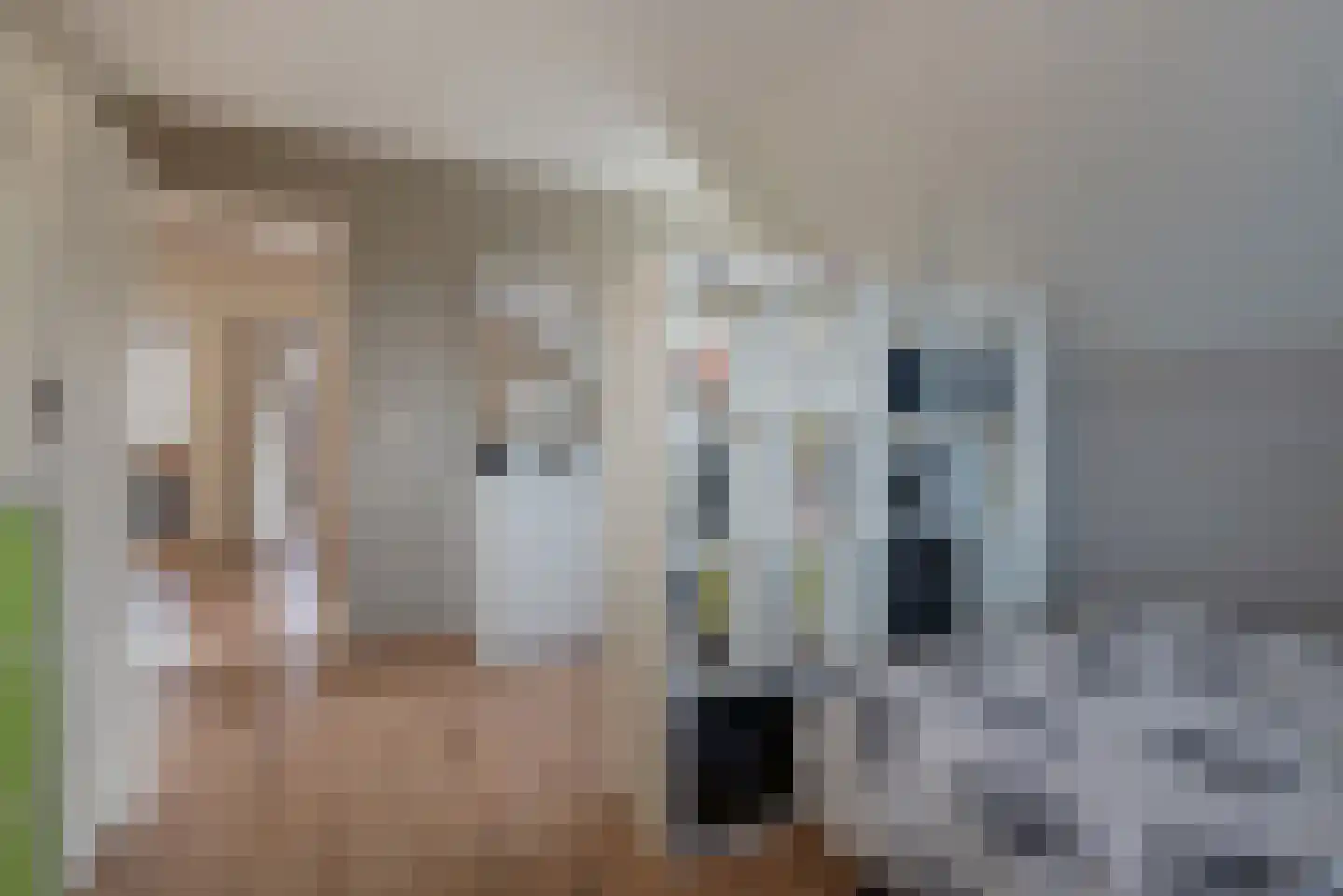 Agaat 100 Zoetermeer thumbnail 46