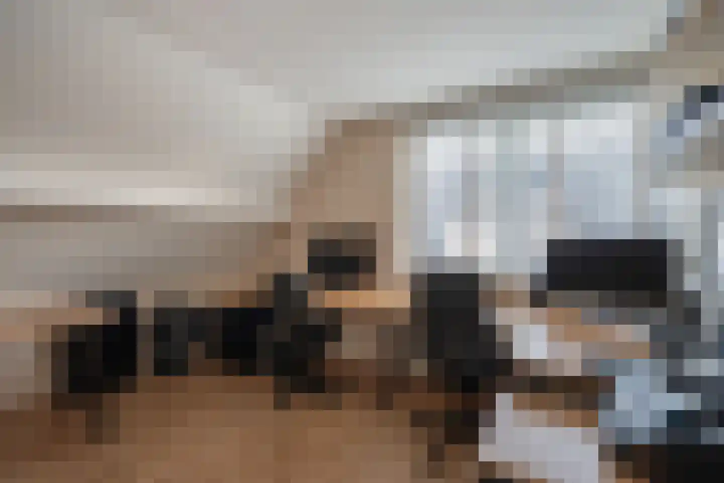 Agaat 100 Zoetermeer thumbnail 47