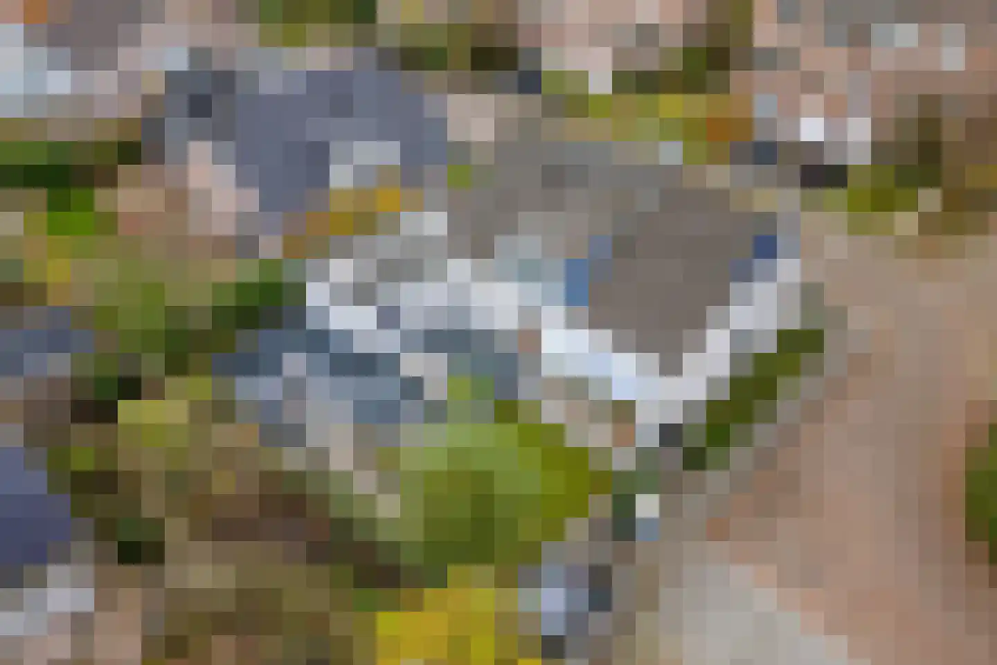 Agaat 100 Zoetermeer thumbnail 5