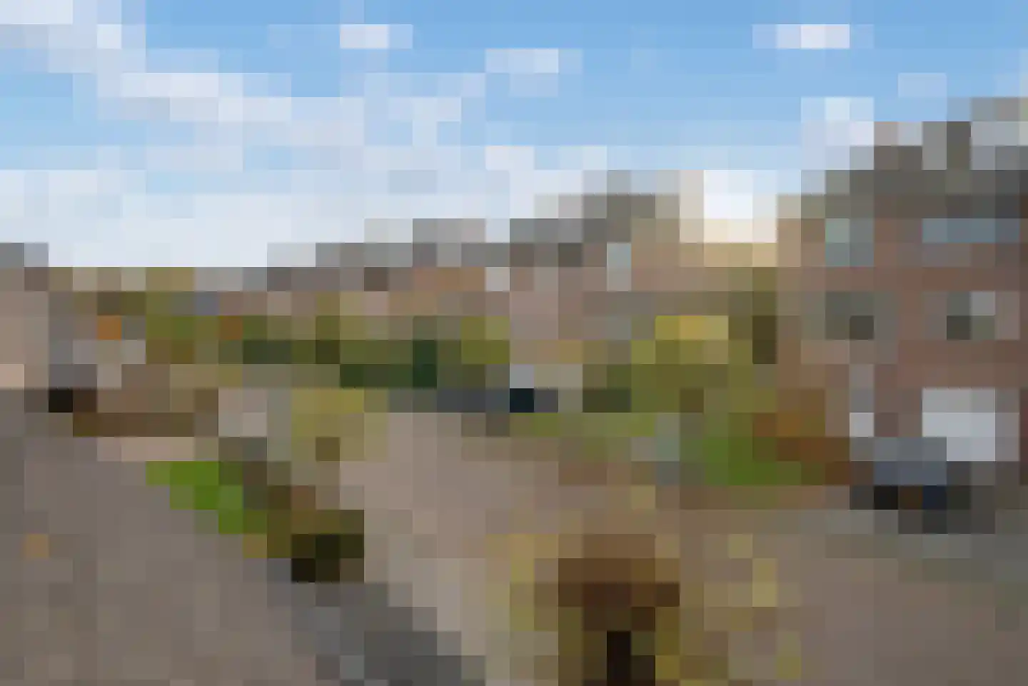 Agaat 100 Zoetermeer thumbnail 51