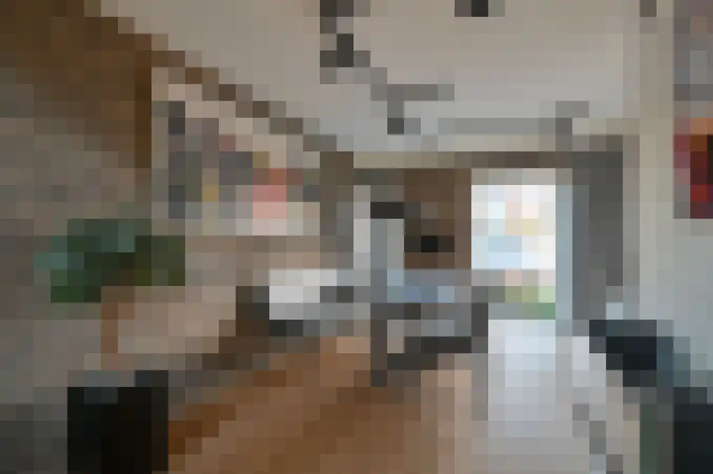 Agaat 11 Mijdrecht thumbnail 13