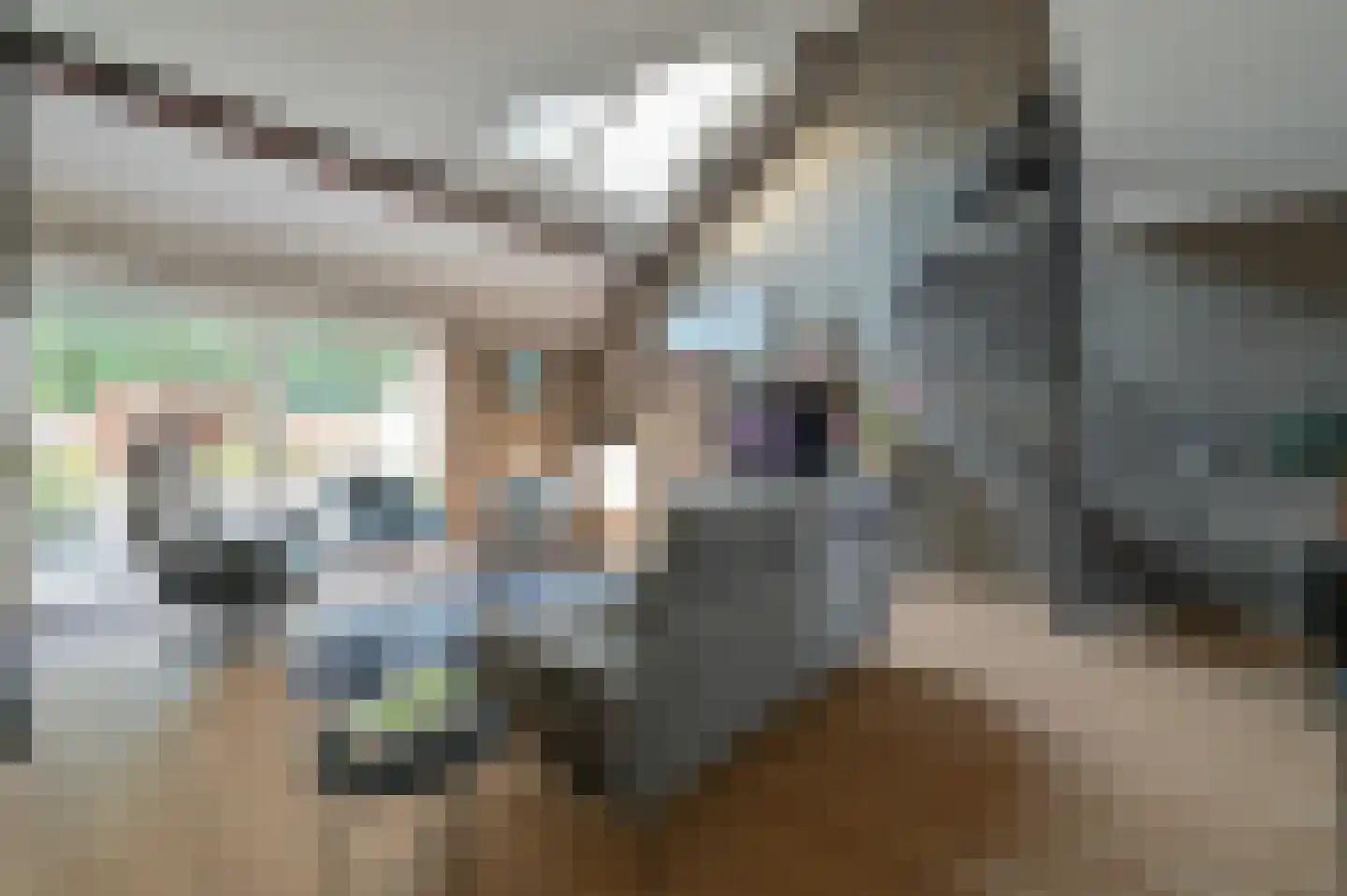 Agaat 11 Mijdrecht thumbnail 15