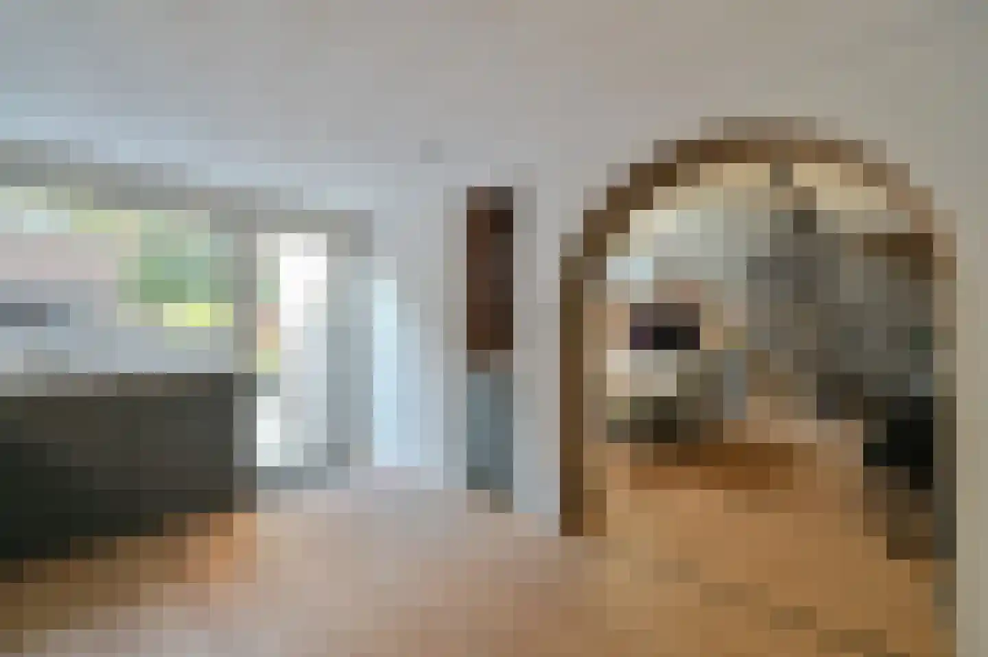 Agaat 11 Mijdrecht thumbnail 17
