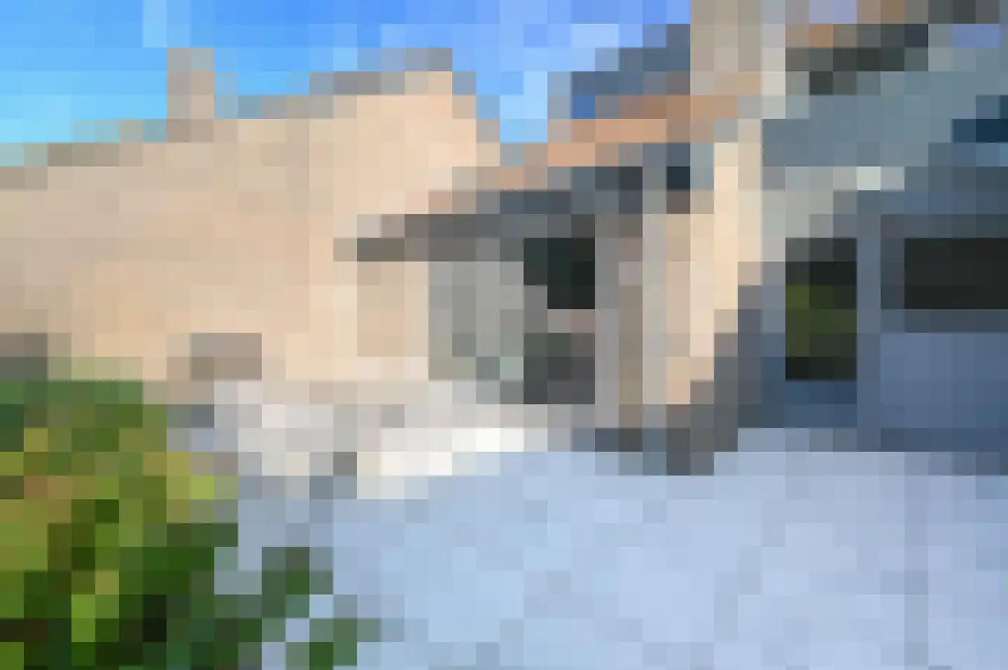 Agaat 11 Mijdrecht thumbnail 31