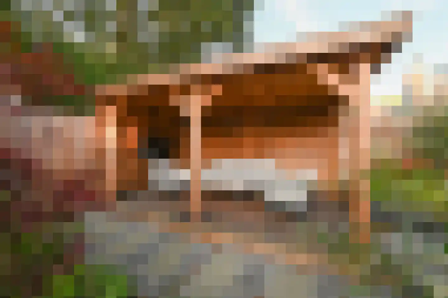 Agaat 11 Mijdrecht thumbnail 32