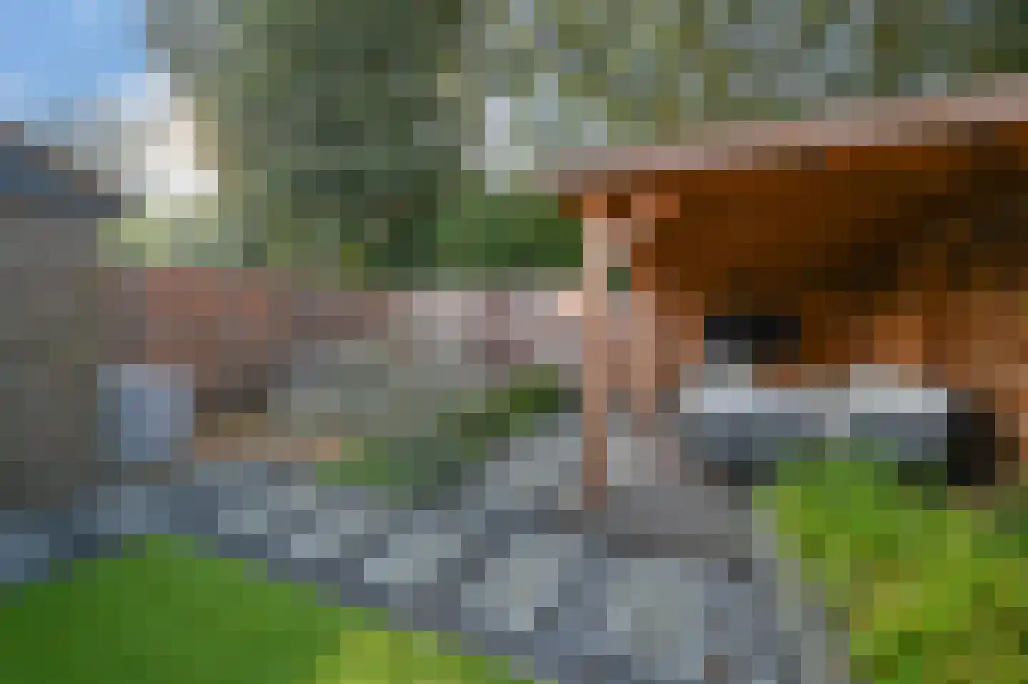 Agaat 11 Mijdrecht thumbnail 33