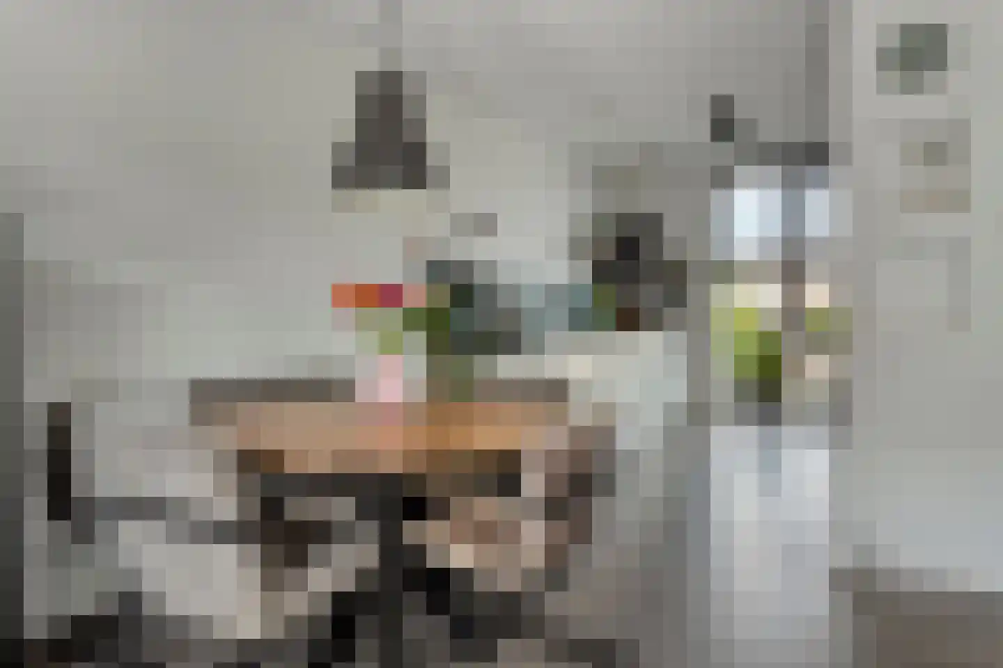 Agaat 27 Zoetermeer thumbnail 15