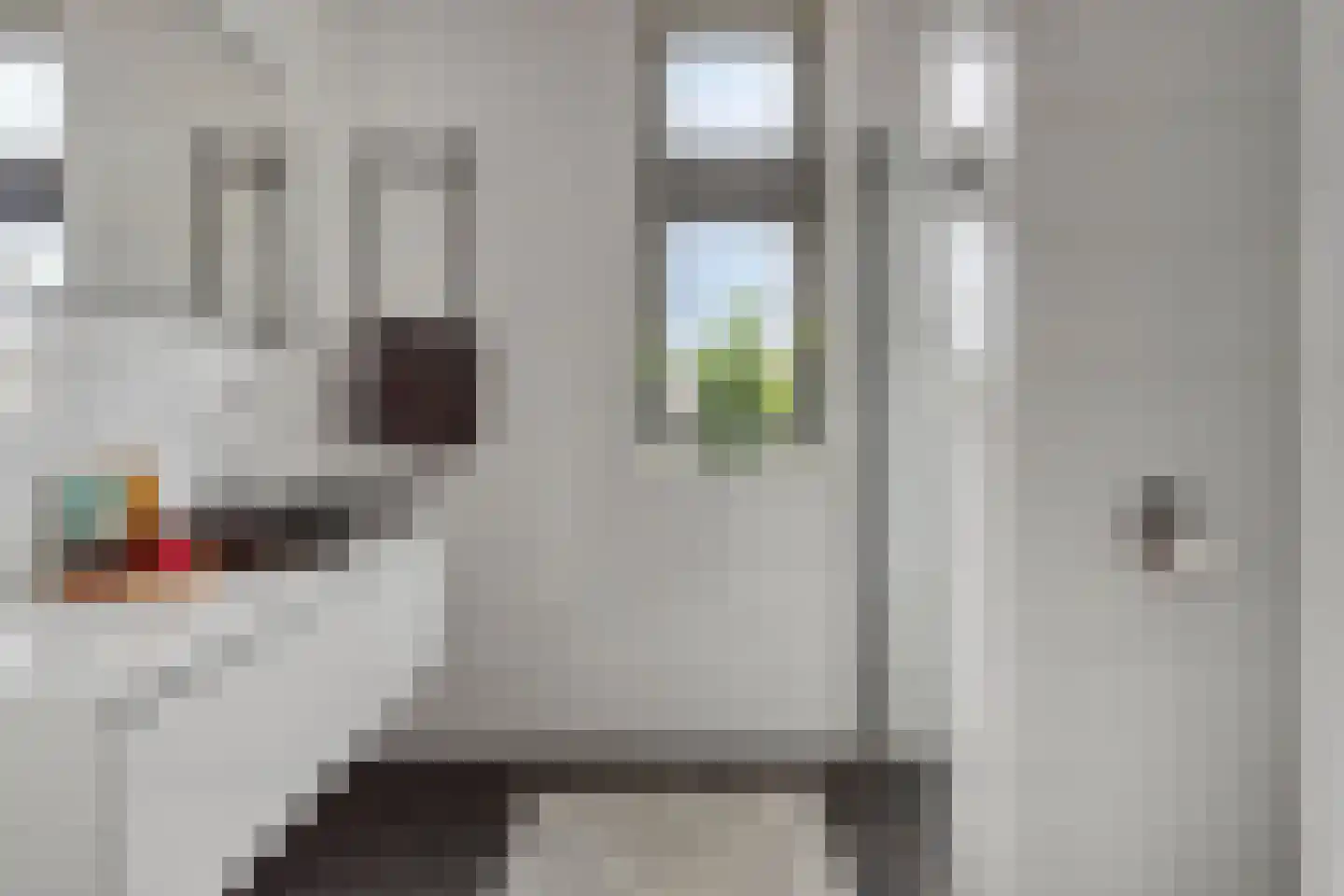 Agaat 27 Zoetermeer thumbnail 26