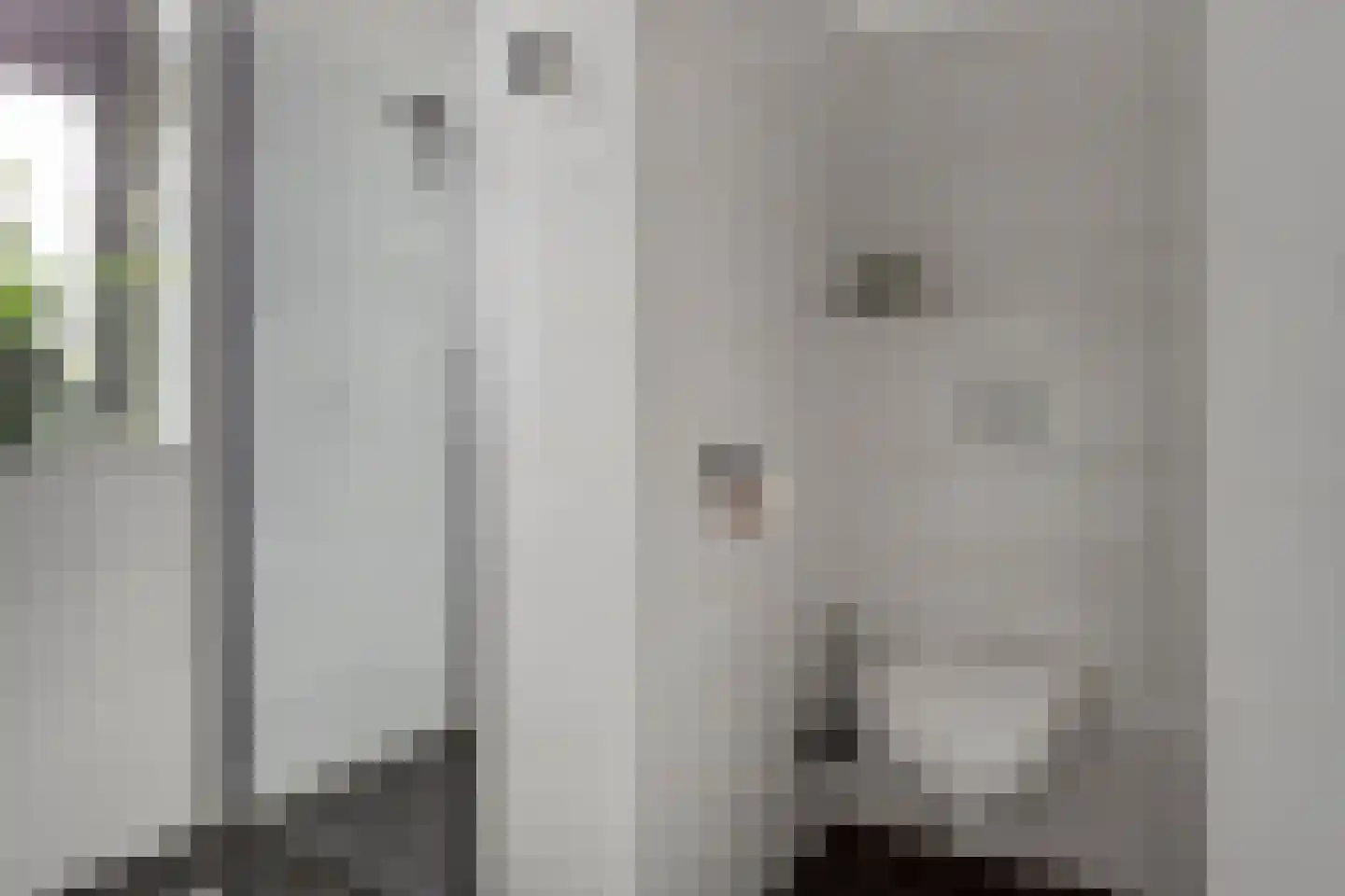 Agaat 27 Zoetermeer thumbnail 28