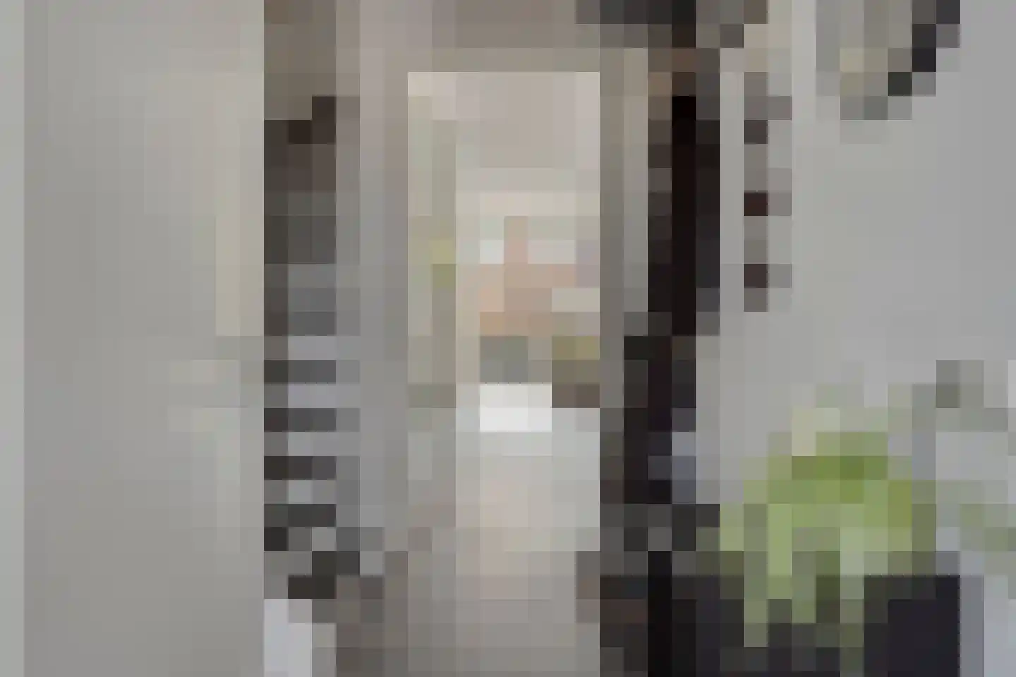 Agaat 27 Zoetermeer thumbnail 7