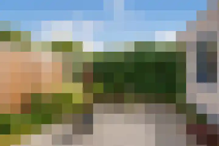 Agaat 3 Zoetermeer thumbnail 10
