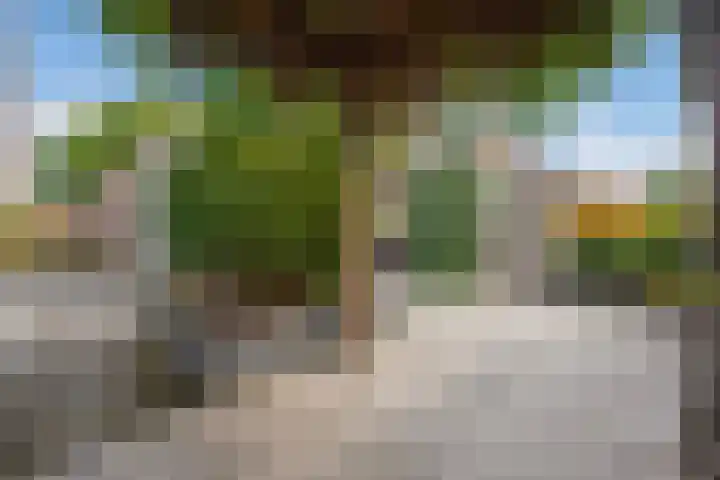 Agaat 3 Zoetermeer thumbnail 22