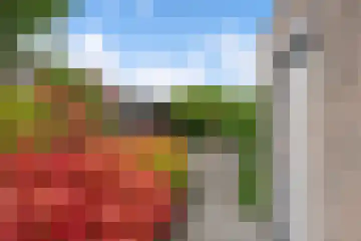 Agaat 3 Zoetermeer thumbnail 26