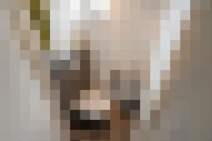 Agaat 3 Zoetermeer thumbnail 33