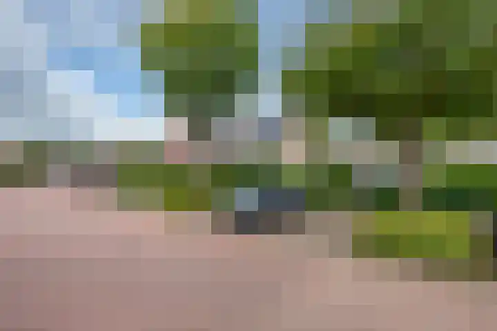 Agaat 3 Zoetermeer thumbnail 36