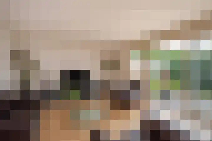Agaat 3 Zoetermeer thumbnail 9