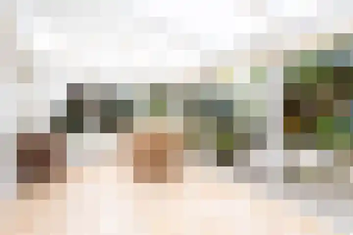 Agaat 32 Berkel en Rodenrijs thumbnail 13