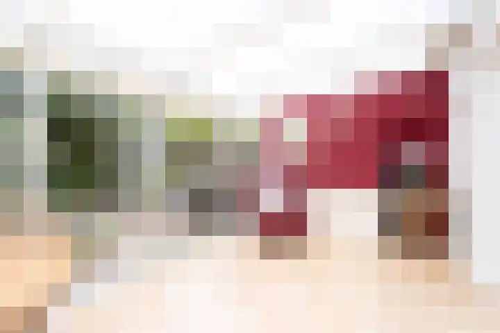 Agaat 32 Berkel en Rodenrijs thumbnail 14