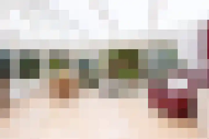 Agaat 32 Berkel en Rodenrijs thumbnail 17