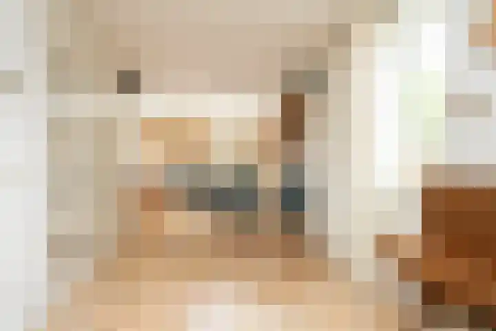 Agaat 32 Berkel en Rodenrijs thumbnail 18
