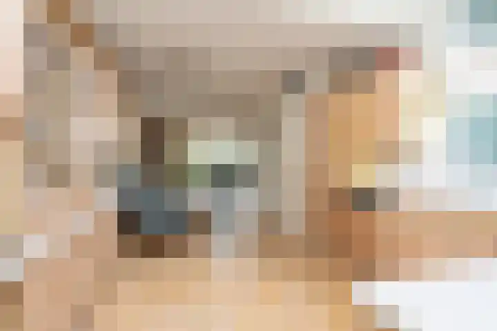Agaat 32 Berkel en Rodenrijs thumbnail 23
