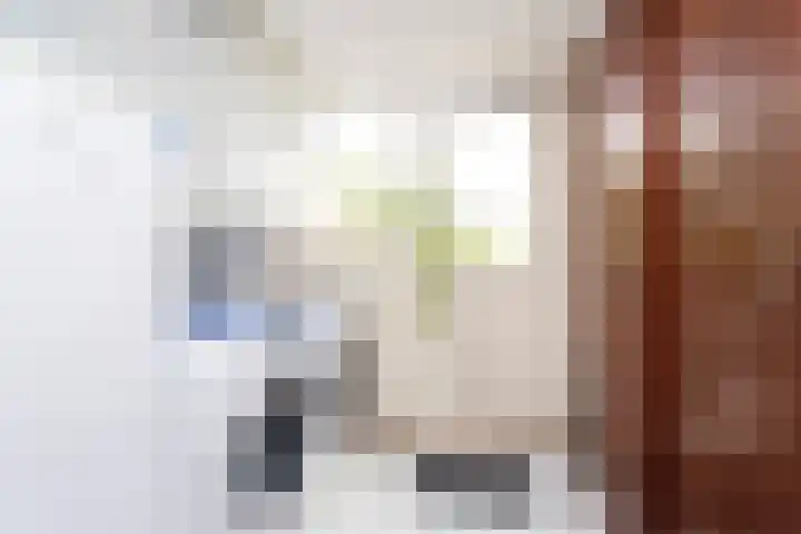 Agaat 32 Berkel en Rodenrijs thumbnail 25