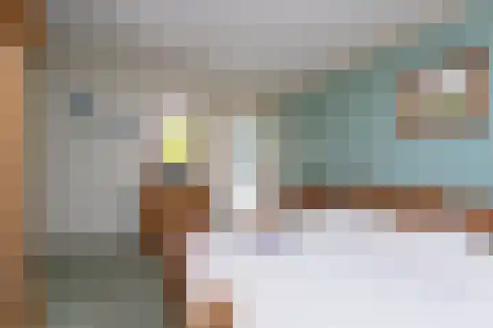 Agaat 32 Berkel en Rodenrijs thumbnail 27