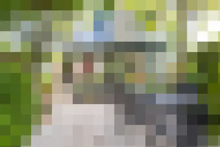 Agaat 32 Berkel en Rodenrijs thumbnail 45