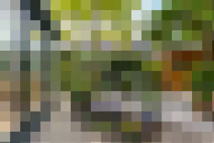 Agaat 32 Berkel en Rodenrijs thumbnail 47