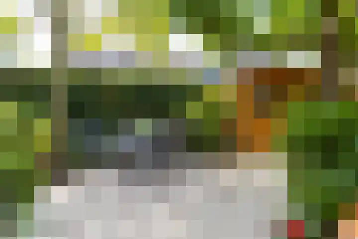 Agaat 32 Berkel en Rodenrijs thumbnail 48
