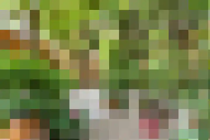 Agaat 32 Berkel en Rodenrijs thumbnail 49
