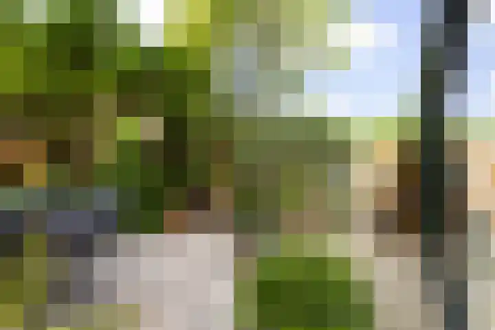 Agaat 32 Berkel en Rodenrijs thumbnail 51