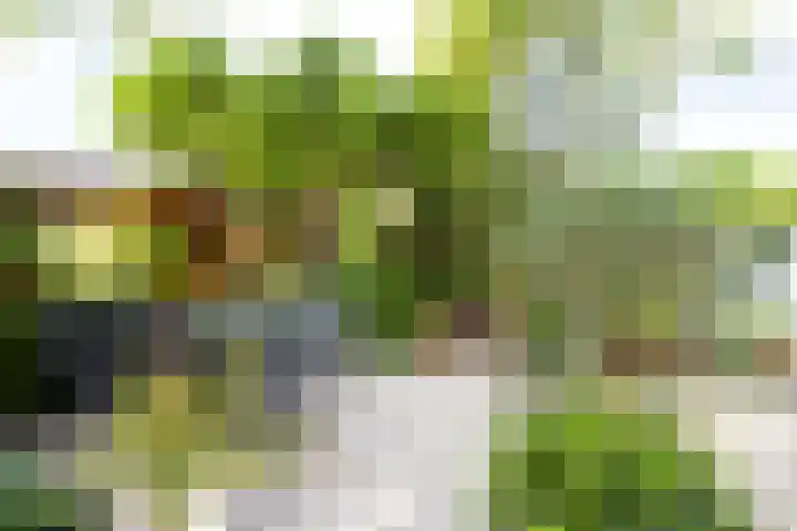 Agaat 32 Berkel en Rodenrijs thumbnail 52