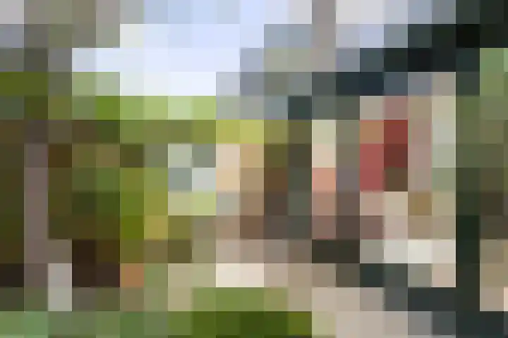 Agaat 32 Berkel en Rodenrijs thumbnail 54