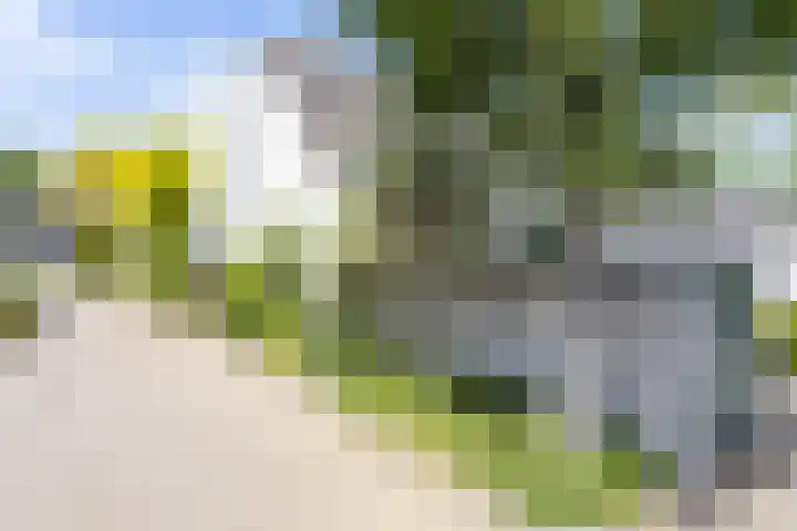 Agaat 32 Berkel en Rodenrijs thumbnail 56