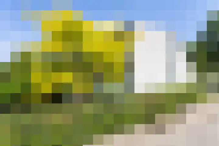 Agaat 32 Berkel en Rodenrijs thumbnail 57