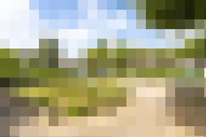 Agaat 32 Berkel en Rodenrijs thumbnail 58