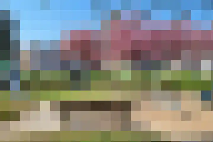 Agaat 32 Berkel en Rodenrijs thumbnail 59