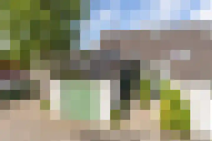 Agaat 32 Berkel en Rodenrijs thumbnail 60
