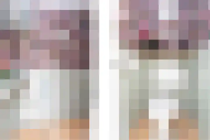 Agaat 32 Berkel en Rodenrijs thumbnail 8