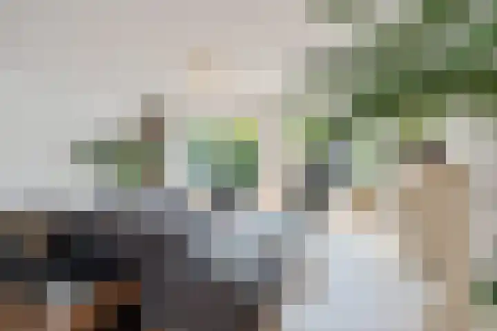 Agaat 40 Zoetermeer thumbnail 15