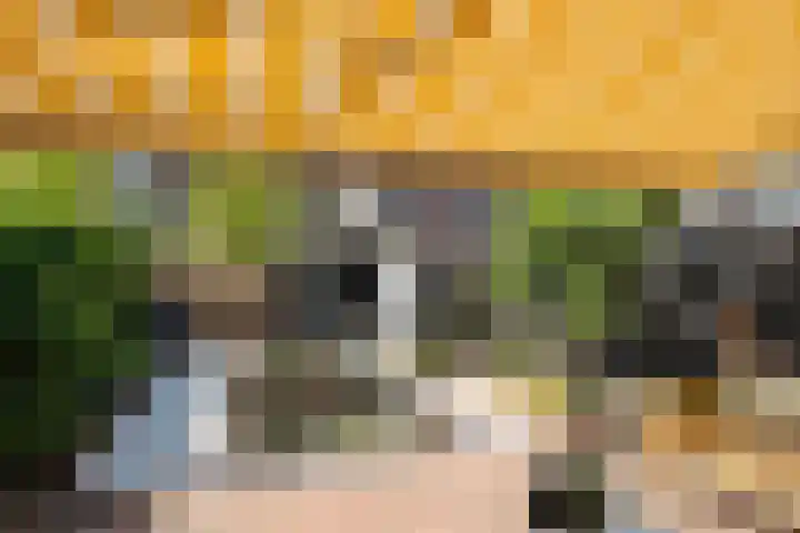 Agaat 40 Zoetermeer thumbnail 16